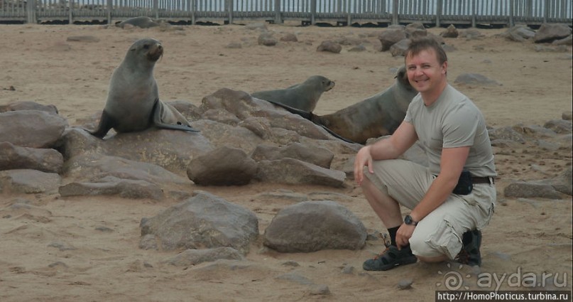 Побережье морских котиков