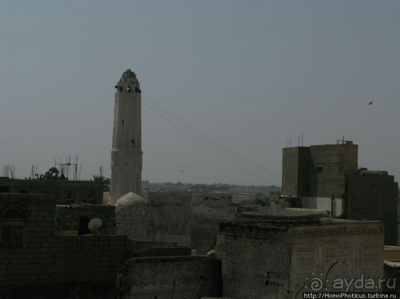 Древние мечети и подарочные цыплята