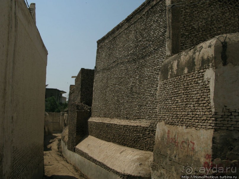 Древние мечети и подарочные цыплята