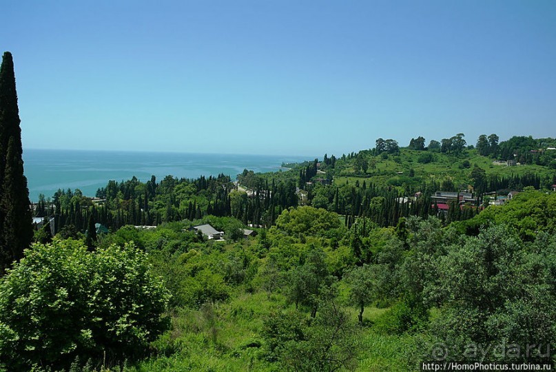 У подножия Афонской горы