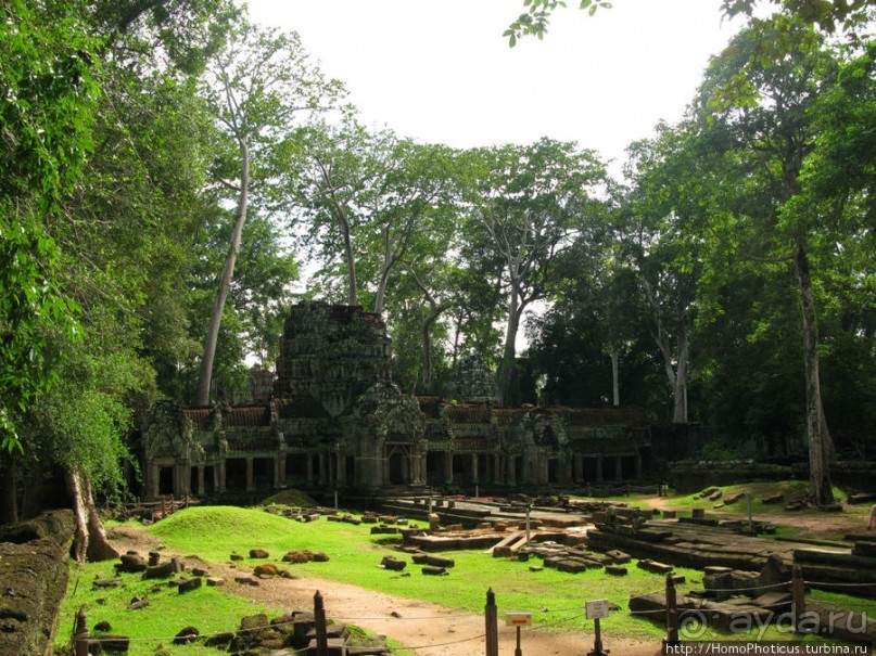 Предок Брахмы