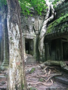 Предок Брахмы