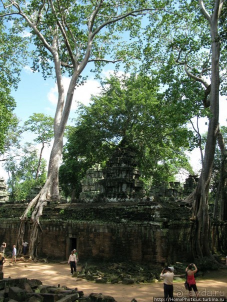 Предок Брахмы