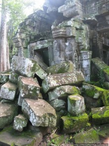 Предок Брахмы