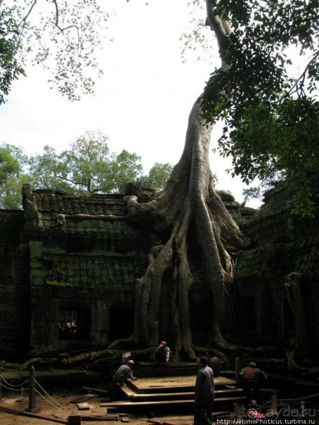 Предок Брахмы