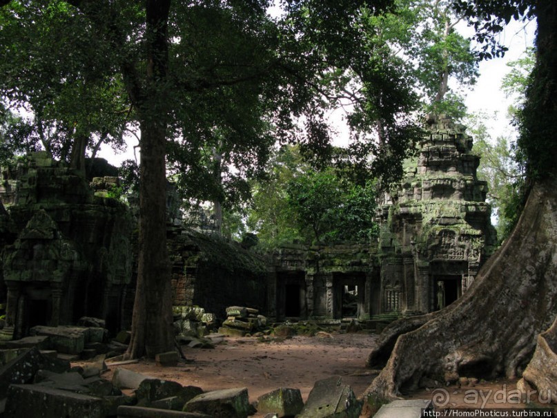 Предок Брахмы