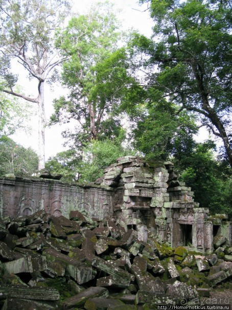 Предок Брахмы