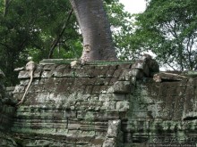 Предок Брахмы