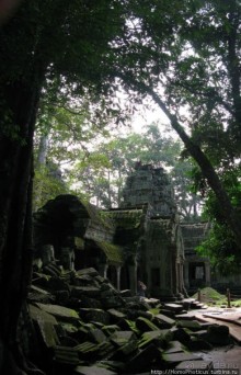 Предок Брахмы