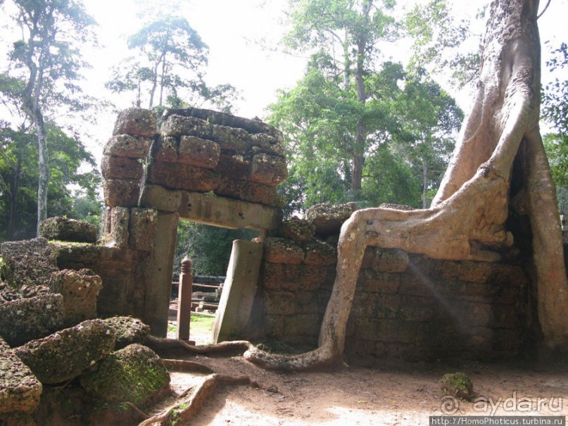 Предок Брахмы