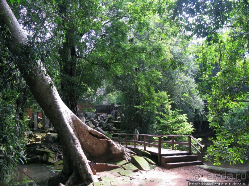 Предок Брахмы