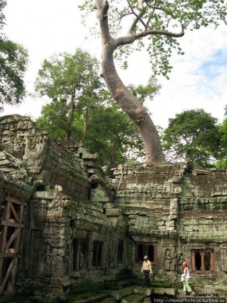 Предок Брахмы