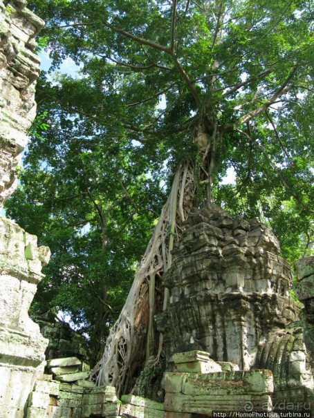 Предок Брахмы