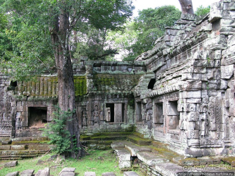 Предок Брахмы