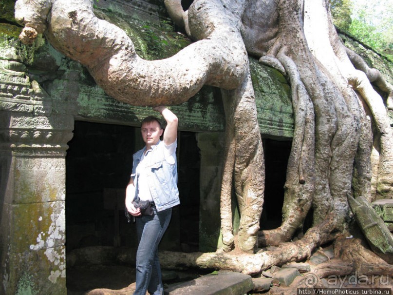 Предок Брахмы