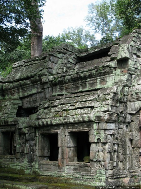 Предок Брахмы