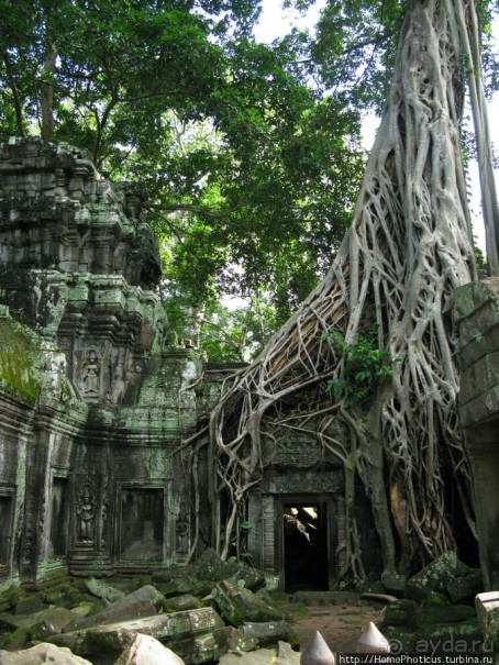 Предок Брахмы