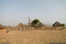 Первое знакомство с мбороро