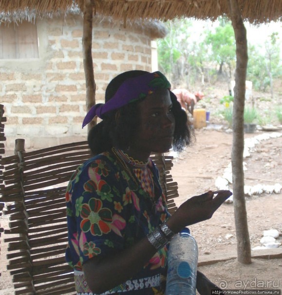 Первое знакомство с мбороро