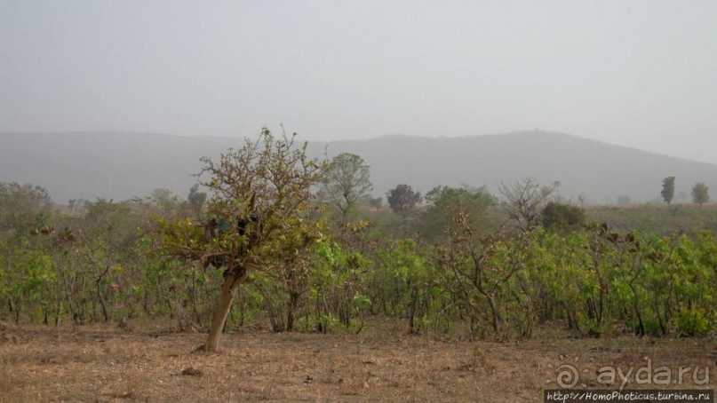 Первое знакомство с мбороро