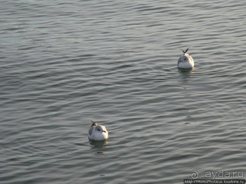 Экспресс-Финляндия