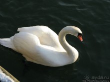 Экспресс-Финляндия