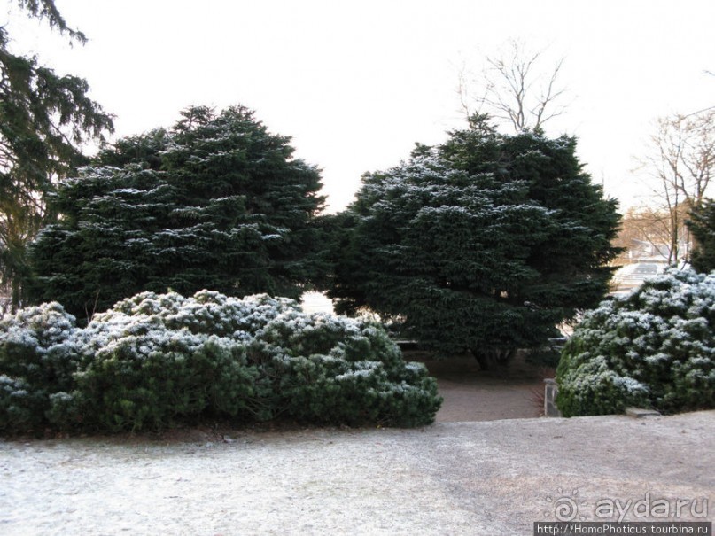 Экспресс-Финляндия
