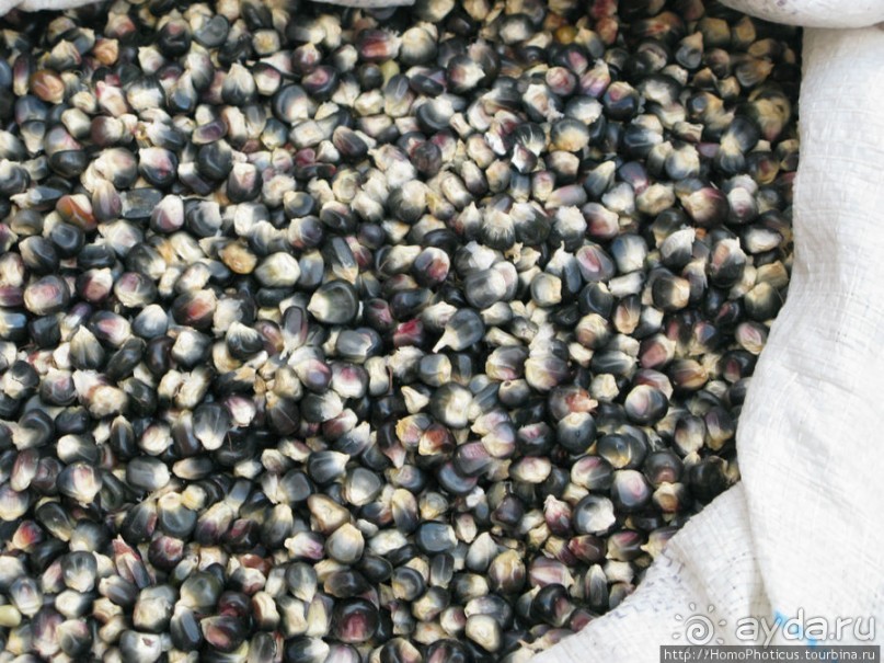 Альбом отзыва ""Самое красивое озеро в мире""