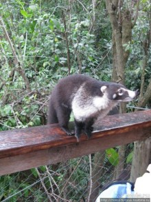 Альбом отзыва ""Самое красивое озеро в мире""
