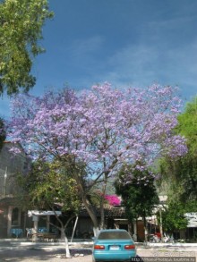 Альбом отзыва ""Самое красивое озеро в мире""