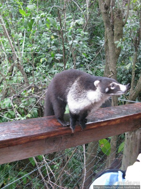 "Самое красивое озеро в мире"