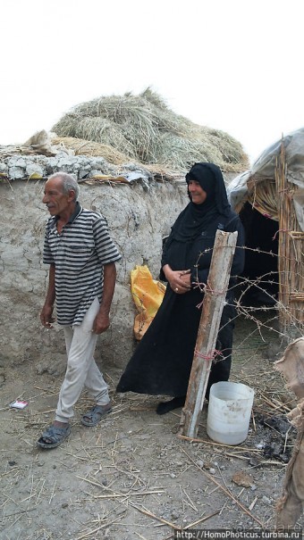 К болотным арабам