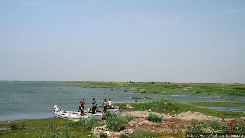 К болотным арабам