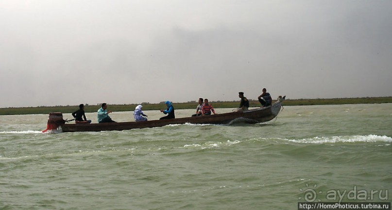 К болотным арабам