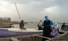 К болотным арабам