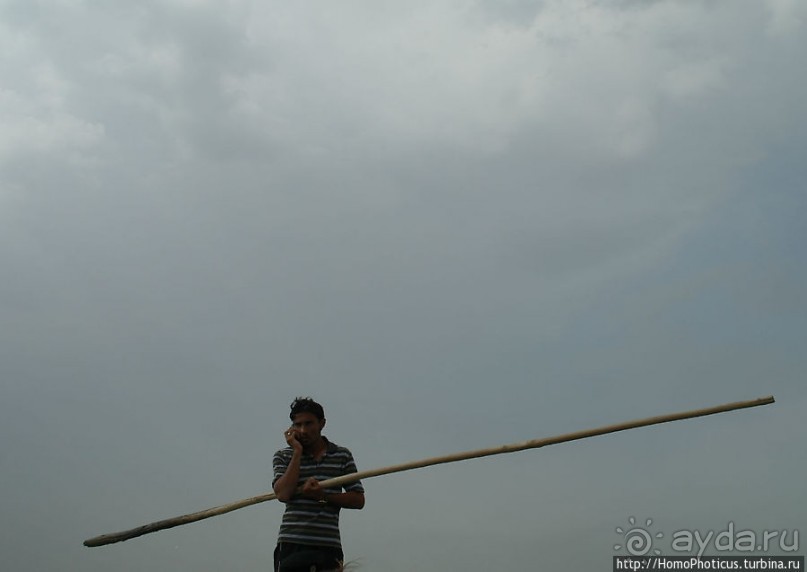 К болотным арабам