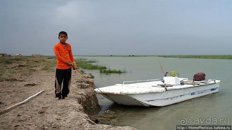 К болотным арабам