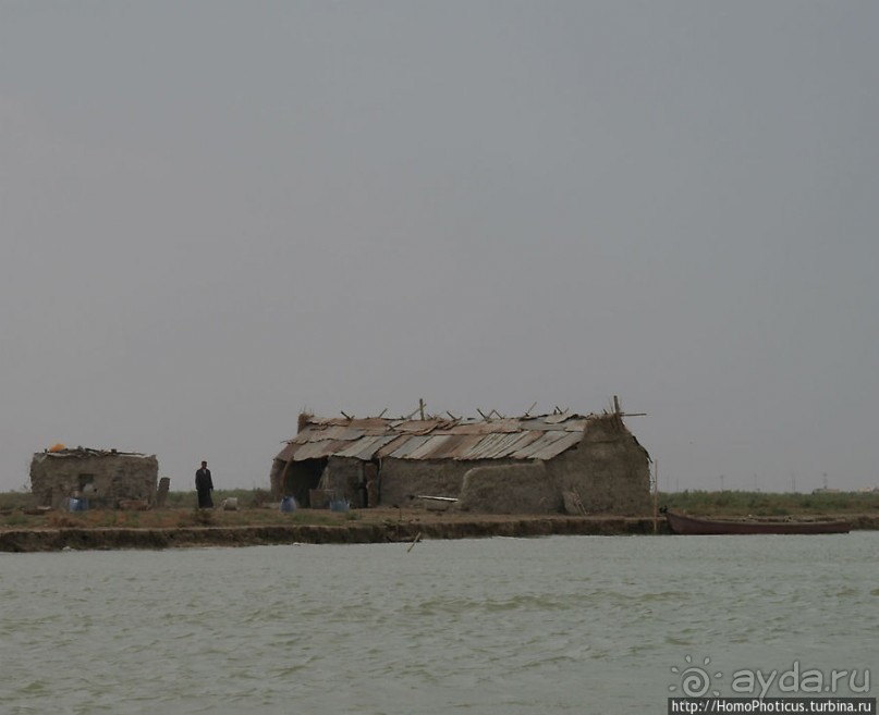 К болотным арабам