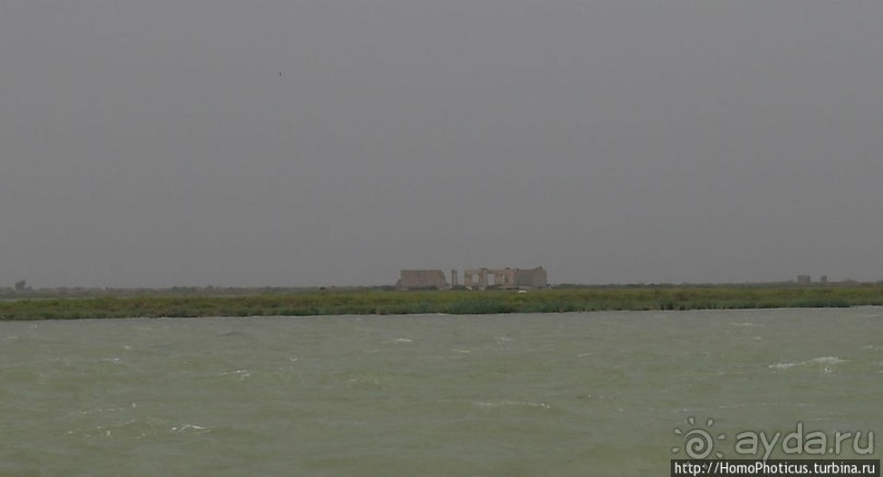 К болотным арабам