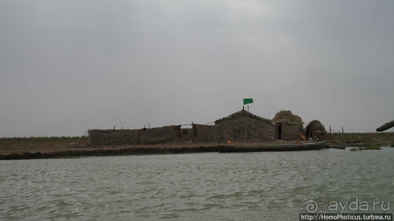 К болотным арабам