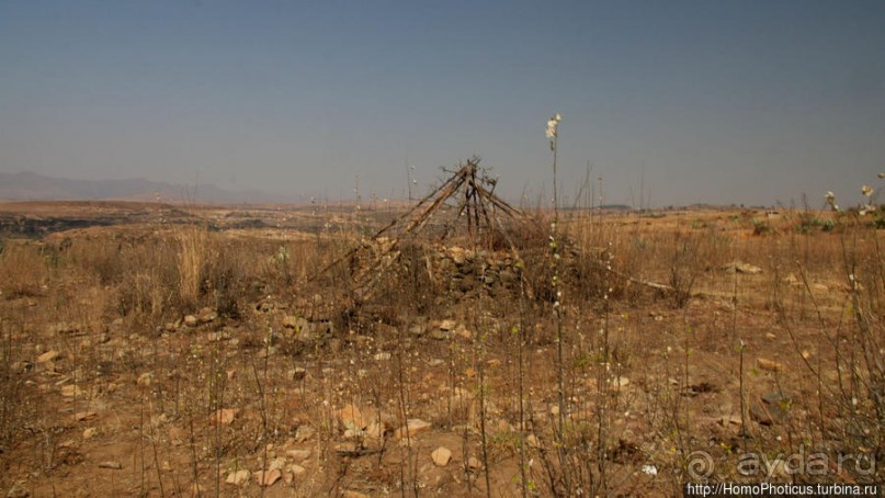 Ночная гора как оплот монарха-брадобрея