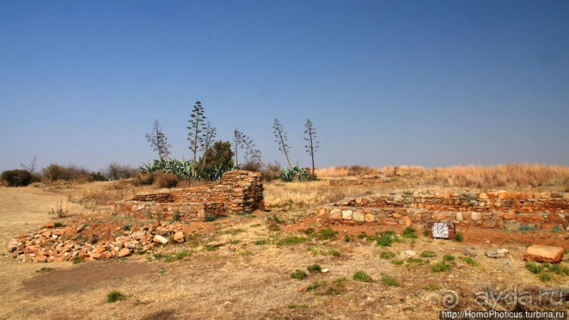 Ночная гора как оплот монарха-брадобрея