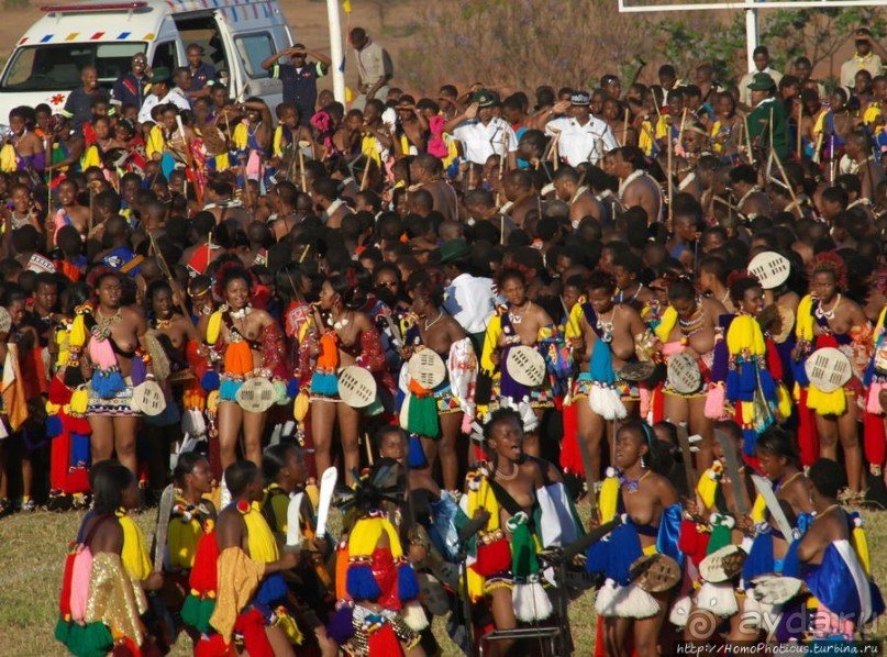 Умхланга. День VII. Его Величество Мсвати III выбирает