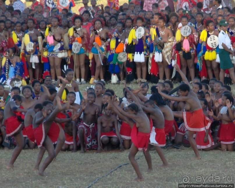 Умхланга. День VII. Его Величество Мсвати III выбирает