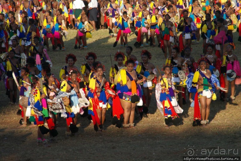 Умхланга. День VII. Его Величество Мсвати III выбирает