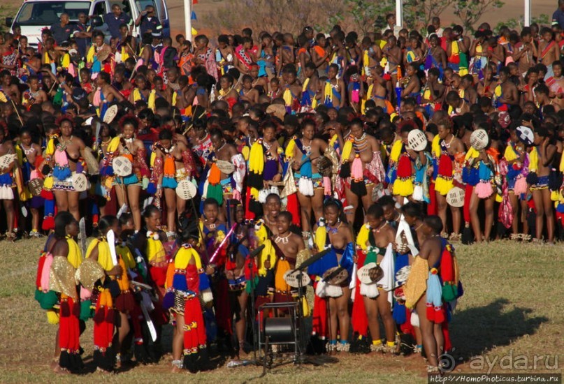 Умхланга. День VII. Его Величество Мсвати III выбирает