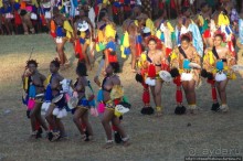 Умхланга. День VII. Его Величество Мсвати III выбирает