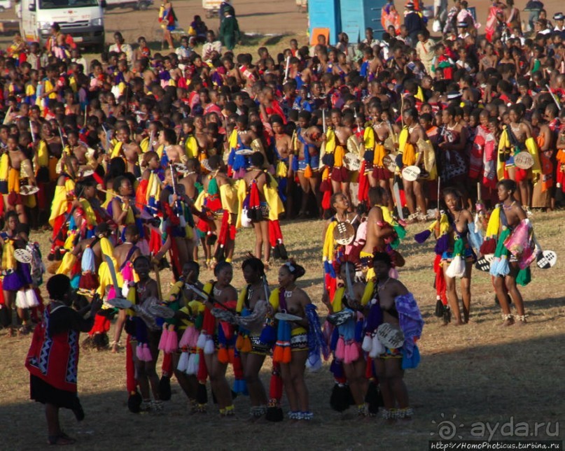 Умхланга. День VII. Его Величество Мсвати III выбирает