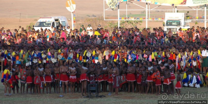 Умхланга. День VII. Его Величество Мсвати III выбирает Умхланга. День VII. Его Величество Мсвати III выбирает