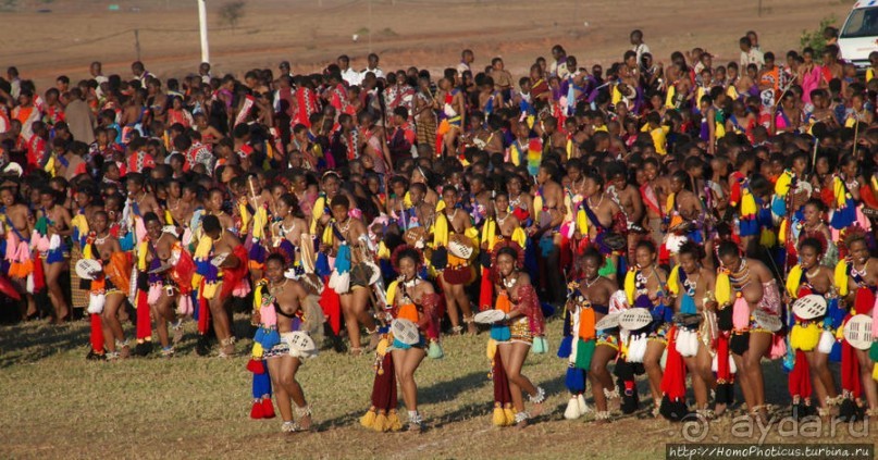 Умхланга. День VII. Его Величество Мсвати III выбирает Умхланга. День VII. Его Величество Мсвати III выбирает